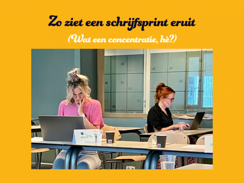 Foto van 2 dames die op een laptop werken. Bijschrift: Zo ziet een schrijfsprint eruit. (Wat een concentratie, hè?)